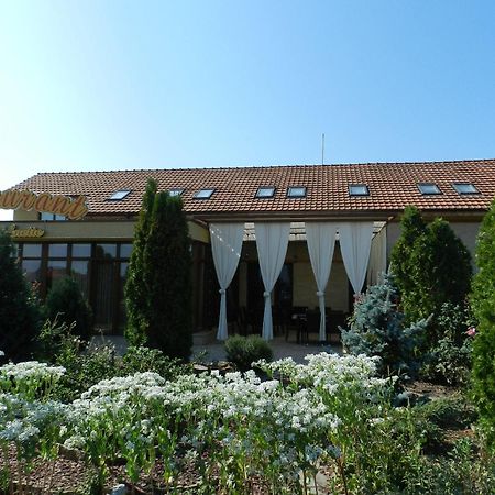 Anette Resort&SPA Covaci Extérieur photo